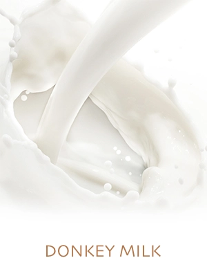 Donkey Milk