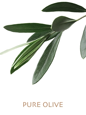 Pure Olive